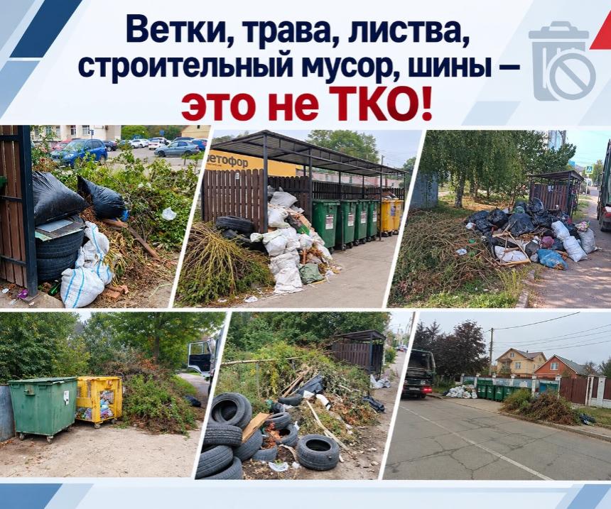 Ветки и растительные отходы: куда их девать?
