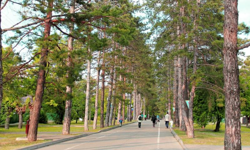 Грандиозную зеленую акцию проведут в Горячем Ключе уже в эти выходные! 