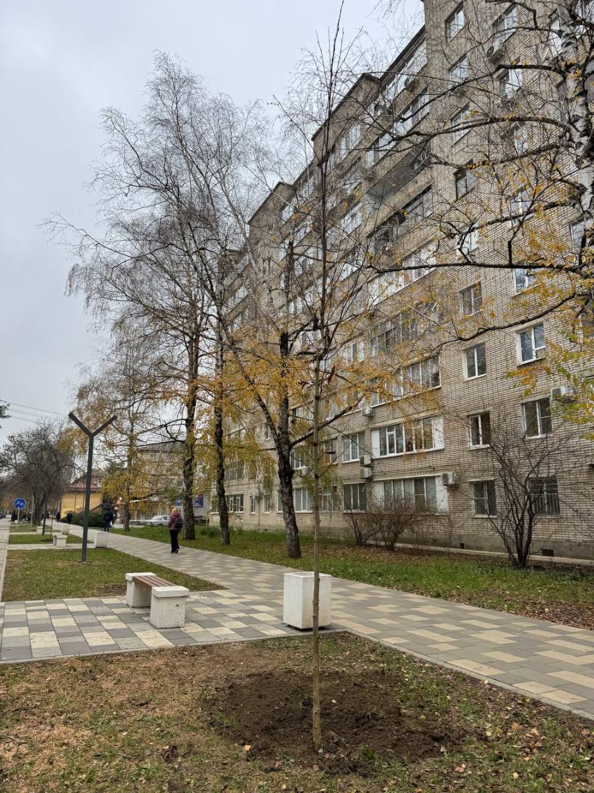 В Горячем Ключе продолжают озеленять территории.