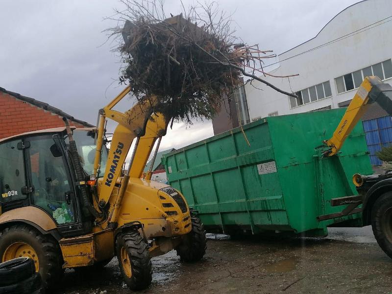 С сегодняшнего дня вывоз веток Регоператор будет осуществлять 3 раза в неделю