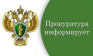 Уголовный кодекс Российской Федерации дополнен статьей 172.4, предусматривающей наказание на незаконное осуществление деятельности по возврату просроченной задолженности физических лиц