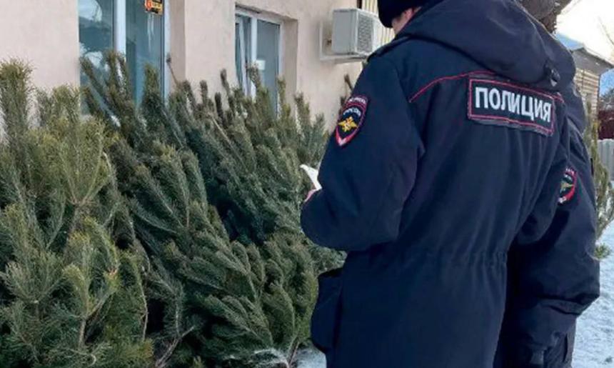 Сотрудники Отдела МВД России по городу Горячий Ключ проводят оперативно-профилактическое мероприятие «Ель-2025»