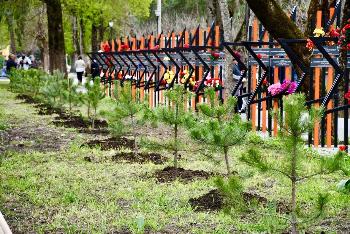 Заместитель председателя Совета Н.Н. Кильганкин совместно с депутатами Совета  приняли участие в церемонии передачи государственных наград семьям погибших участников СВО, а также высадке молодых сосен вдоль Аллеи, которые станут символом жизни погибших бо