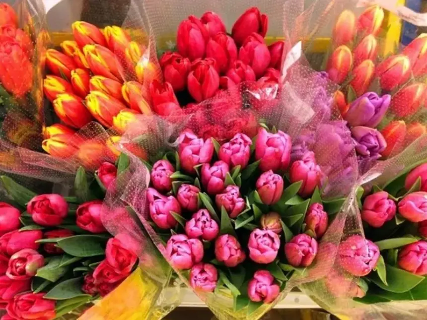 Весенняя ярмарка цветов в Горячем Ключе