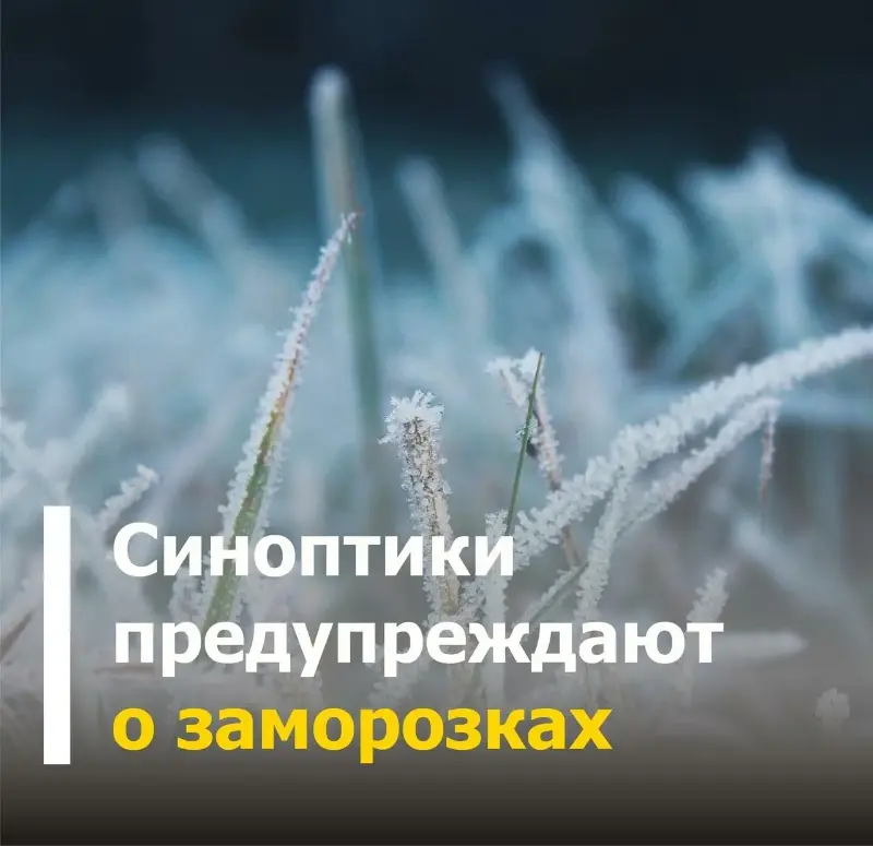 Экстренное предупреждение