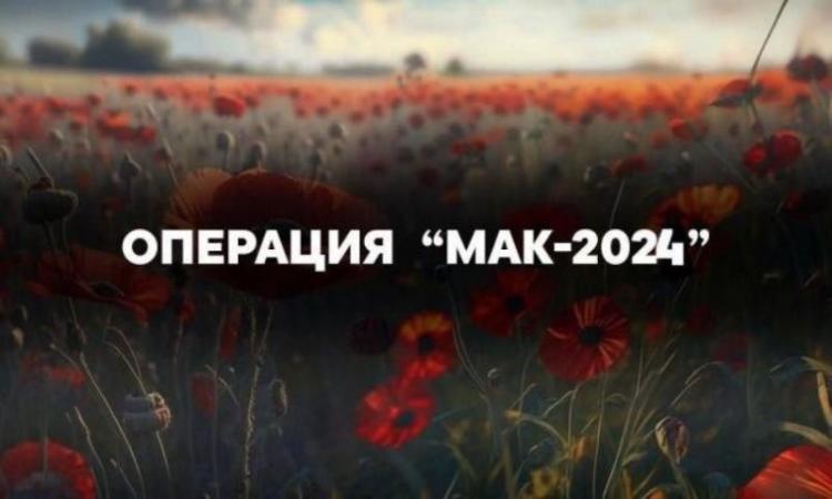 В Горячем Ключе проходит операция «Мак-2024»