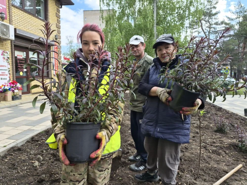 Был ларёк – стал зелёный уголок