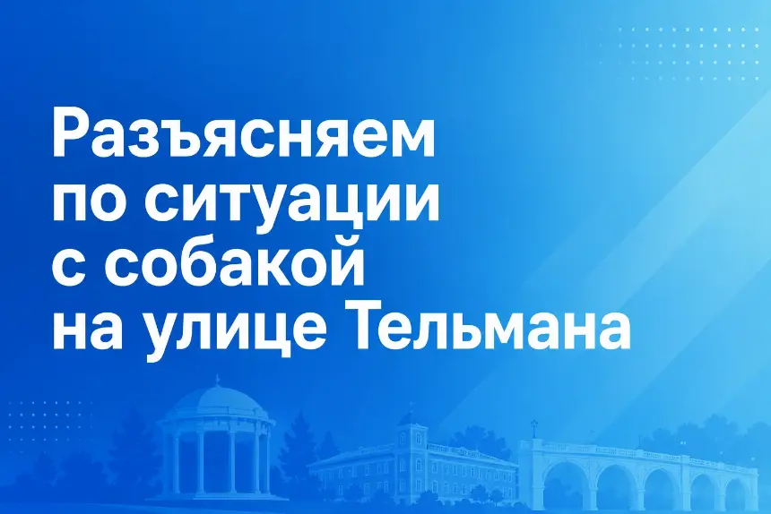 По ситуации с собакой на улице Тельмана, которая обсуждается в социальных сетях