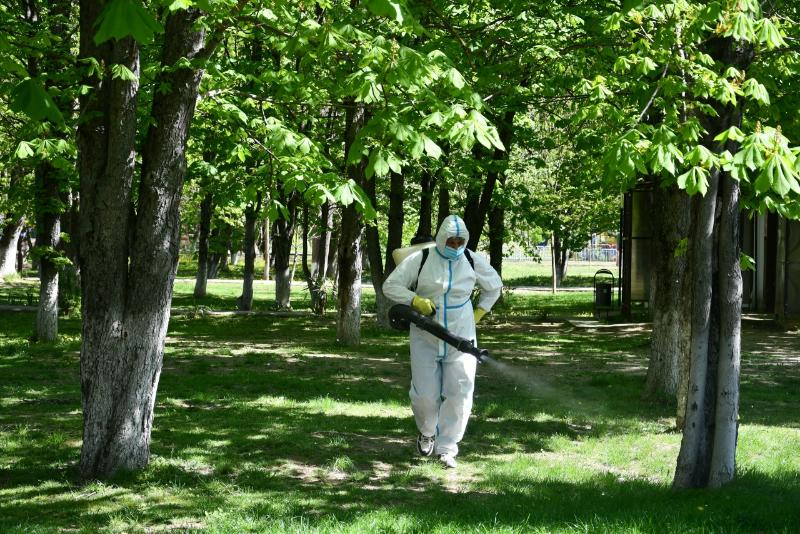 В городском парке культуры и отдыха проведут акарицидную обработку
