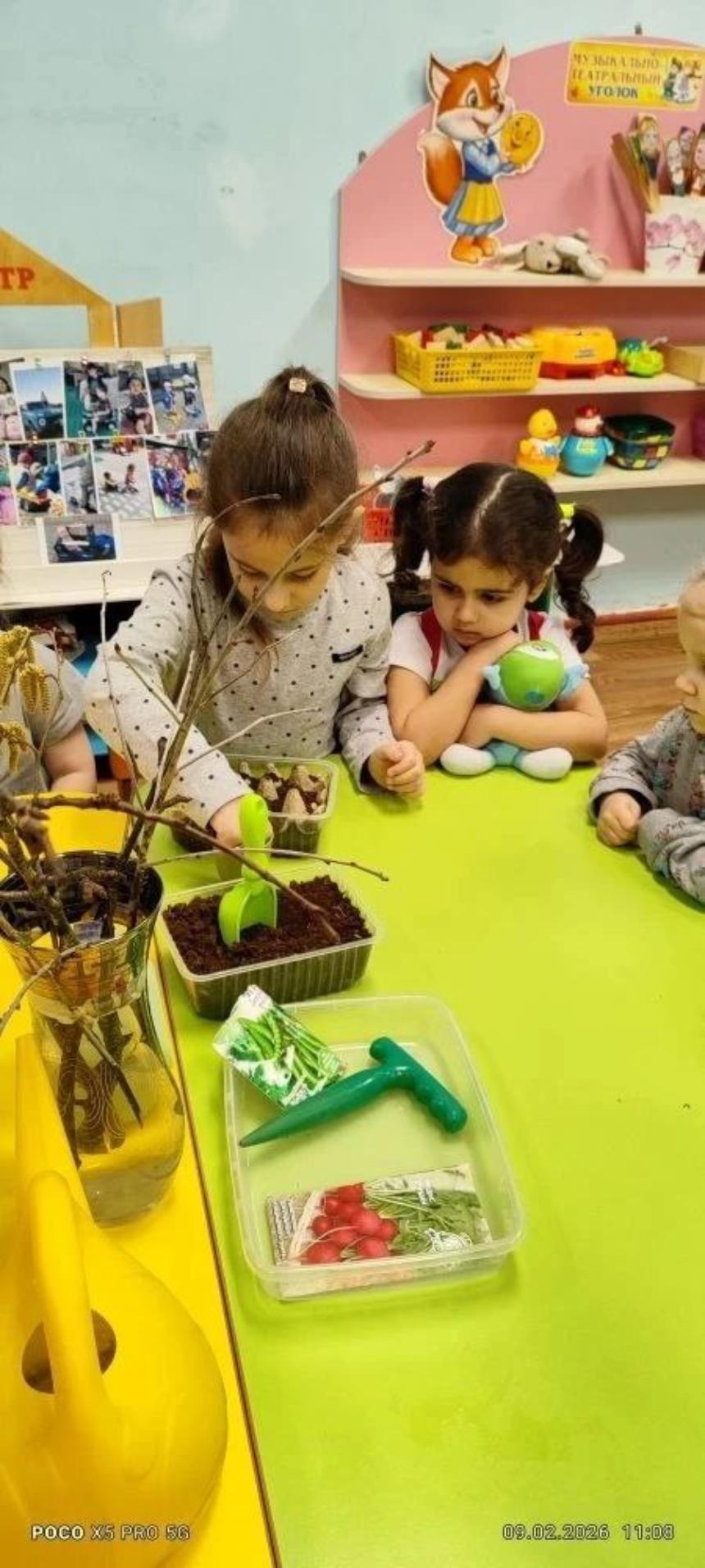 Малыши из «Звёздочек» знакомятся с природой через садоводство