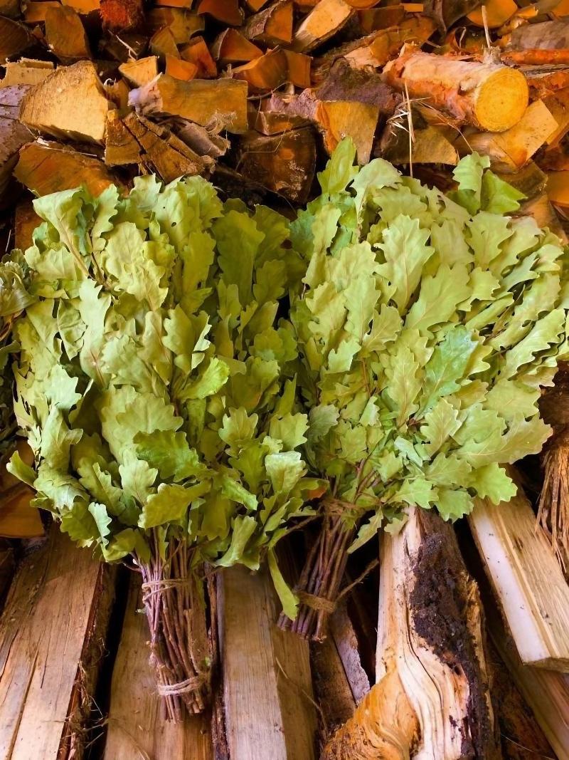 За дубовые веники могут оштрафовать 