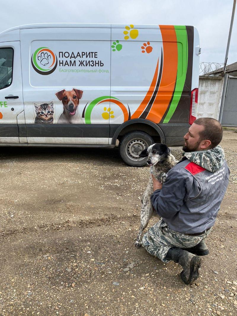 В Горячем Ключе продолжат осуществлять отлов безнадзорных животных. 