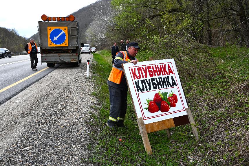 В Горячем Ключе прошёл рейд по пресечению незаконной торговли клубникой.