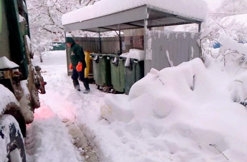 Важная информация о вывозе веток и растительных отходов