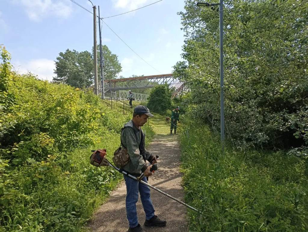 07.png