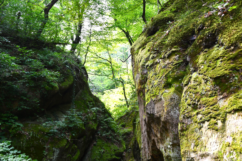 DSC_9111.JPG