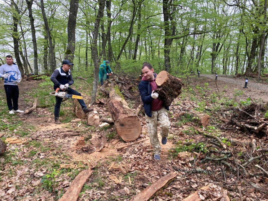 photo_5305276112810218336_y.jpg photo_5305276112810218336_y.jpg